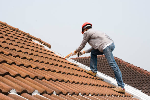 Best Skylight Installation and Repair  in Wellton, AZ